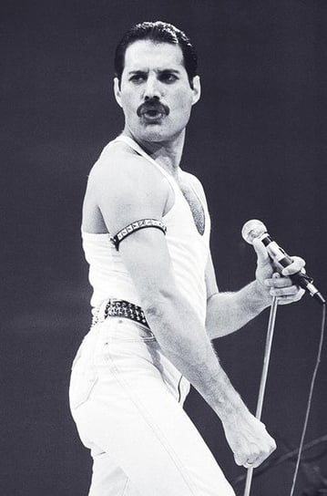 Close, Queen Freddie Mercury, 59,5x84 cm Close