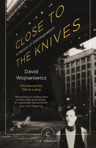 Close to the Knives Wojnarowicz David