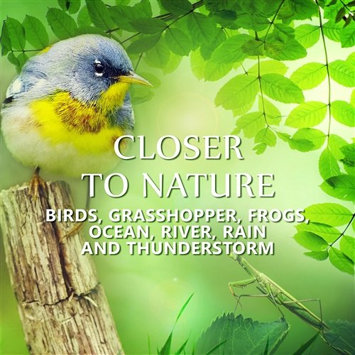 Closer to Nature: Relaxing Music of Grasshopper & Birds, Frogs, Ocean & Sea Waves, Crickets Sound for Massage & Relaxation in Spa & Wellness Center, Rain to Calm Down, Natural Sleep Aid Nature Collection