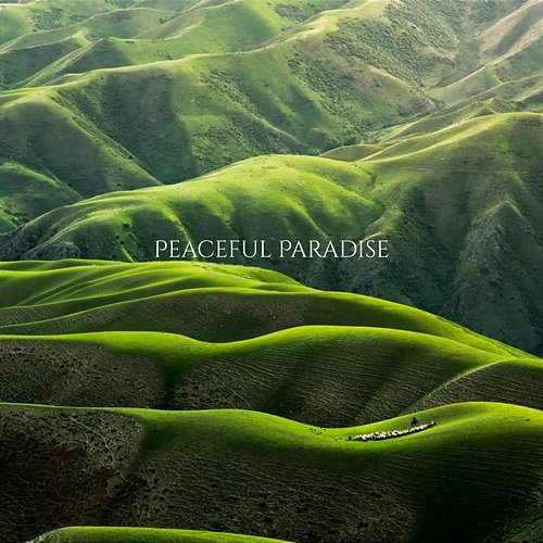 Cloud Harmony Peaceful Paradise