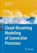 Cloud-Resolving Modeling of Convective Processes Li Xiaofan, Gao Shouting