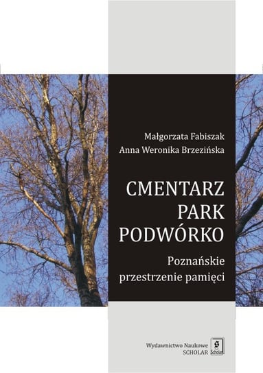 Cmentarz park podwórko. Poznańskie przestrzenie pamięci Fabiszak Małgorzata, Brzezińska Anna Weronika
