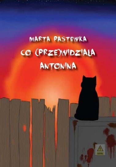 Co (prze)widziała Antonina Pastewka Marta