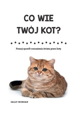 Co wie Twój kot? Poznaj sposób rozumienia świata przez koty Morgan Sally