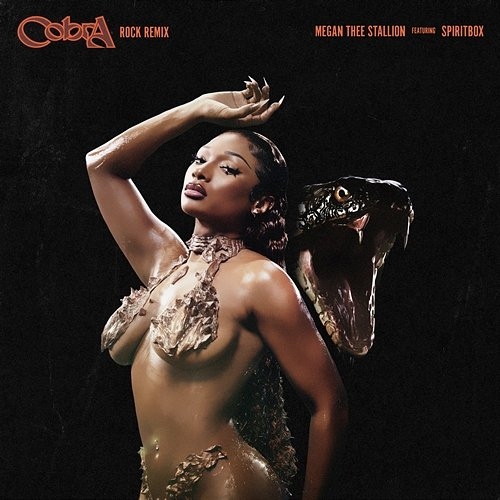 Cobra Megan Thee Stallion feat. Spiritbox