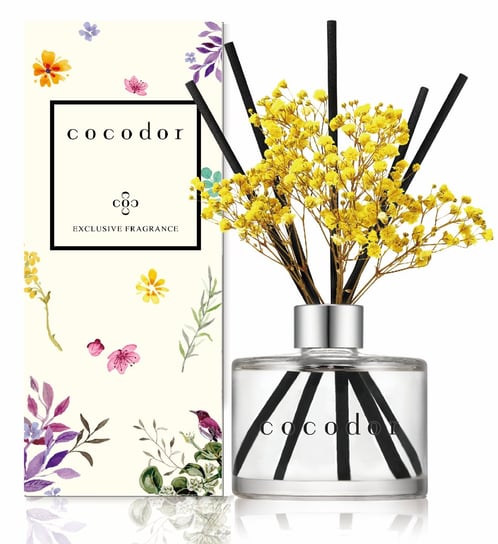 Cocodor, Dyfuzor zapachowy Daffodil 200 ml Vanilla &amp; Sandalwood PDI30926 Cocodor