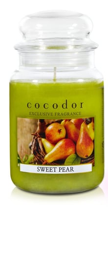 Cocodor, Świeca duża 550 g Sweet Pear PCA30435 Cocodor