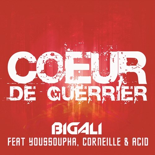Coeur de guerrier Big Ali feat. Youssoupha, Corneille, Acid