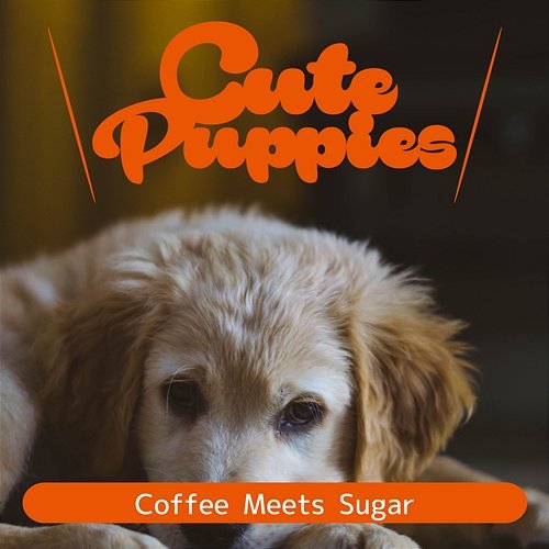 Coffee Meets Sugar Cute Puppies