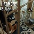 Coffee Shop Bossa Harmony Blue