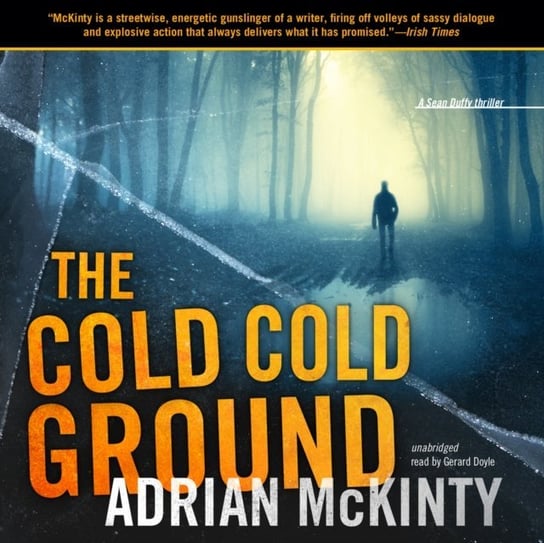 Cold Cold Ground McKinty Adrian