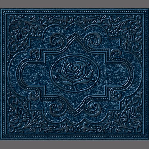 Cold Roses The Cardinals, Ryan Adams