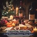 Cold Winter's Dinner Time Jazz Tropical Mellow