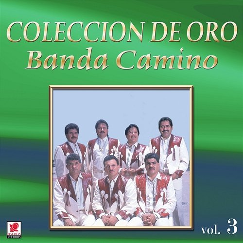 Colección De Oro, Vol. 3 Banda Camino