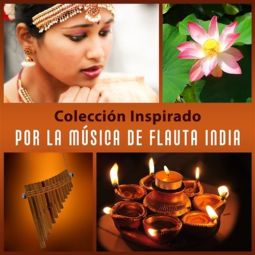 Colección Inspirado por la Música de Flauta India: Treinta Zen Canciones para Meditación Budista, Relajación Profunda, Clases de Yoga, Sonidos Ambiente de Natural y Música para Dormir Técnicas de Meditación Academia
