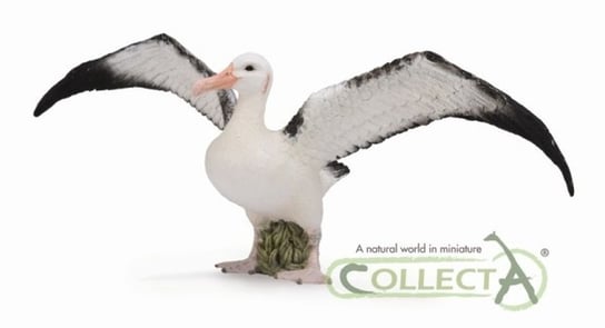 Collecta, Figurka kolekcjonerska, Albatros Wędrowny, Rozmiar L, nr kat 88765 Collecta