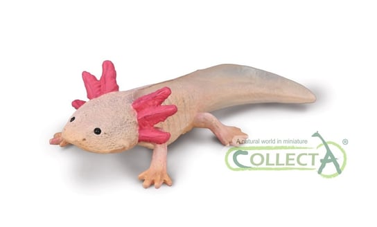 Collecta, figurka kolekcjonerska, Asolotl Collecta