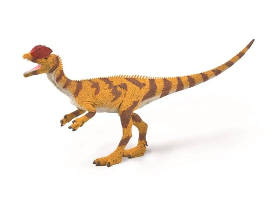Collecta, Figurka kolekcjonerska, Dilophosaurus, 1:40 , nr kat 88923 Collecta