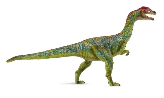 Collecta, Figurka kolekcjonerska, Dinozaur Liliensternus, Rozmiar L, nr kat 88509 Collecta