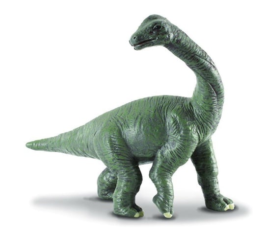 Collecta, Figurka kolekcjonerska, Dinozaur Młody Brachiozaur, nr kat 88200 Collecta