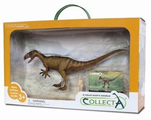 Collecta, Figurka kolekcjonerska, Dinozaur Neovenator W Pudełku Skala 1:40, nr kat 89452 Collecta