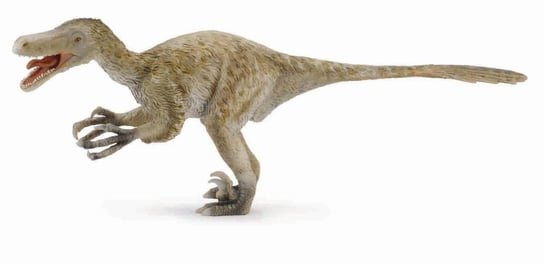 Collecta, Figurka kolekcjonerska, Dinozaur Velociraptor Deluxe, nr kat 88407 Collecta