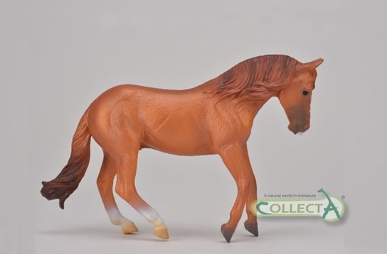 Collecta, Figurka kolekcjonerska, Ogier Rasy Australian Stock Horse Kasztan, nr kat 88712 Collecta