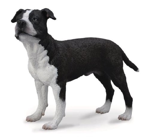 Collecta, Figurka kolekcjonerska, Pies American Staffordshire Terrier, nr kat 88610 Collecta