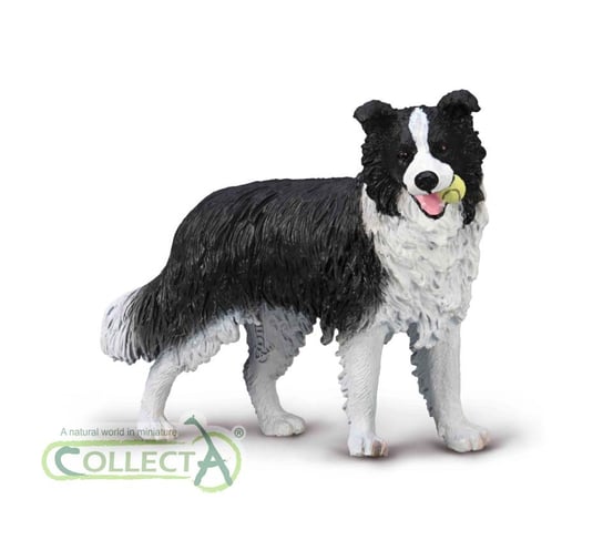 Collecta, figurka kolekcjonerska, pies rasy Broder Collie Collecta