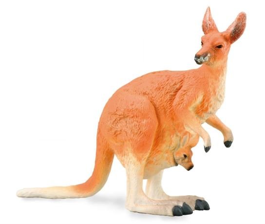 Collecta, Figurka kolekcjonerska, Red Kangaroo, nr kat 88921 Collecta