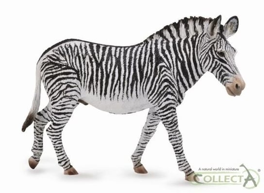 Collecta, Figurka kolekcjonerska, Zwierzę Dzikie, Zebra Grevys, nr kat 88773 Collecta