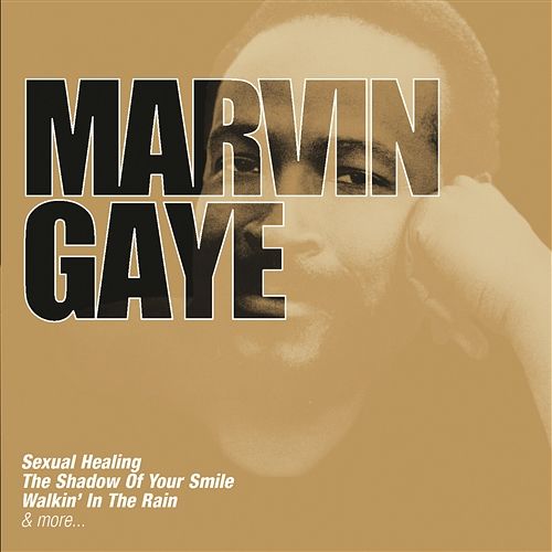 Ain't It Funny (How Things Turn Around) Marvin Gaye