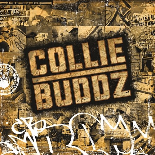 Blind to You Collie Buddz