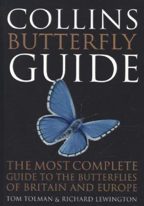 Collins Butterfly Guide Tolman Tom