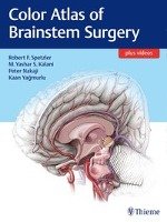 Color Atlas of Brainstem Surgery Thieme Georg Verlag, Thieme Medical Publishers Inc.