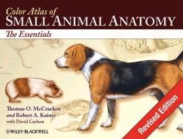 Color Atlas of Small Animal Anatomy Mccracken Thomas O., Kainer Robert A., Carlson David