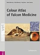 Colour Atlas of Falcon Medicine Wernery Renate, Wernery Ulrich, Kinne Jorg, Samour Jaime
