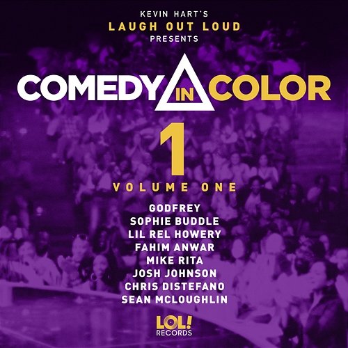 Comedy In Color, Vol. 1 Various Artists