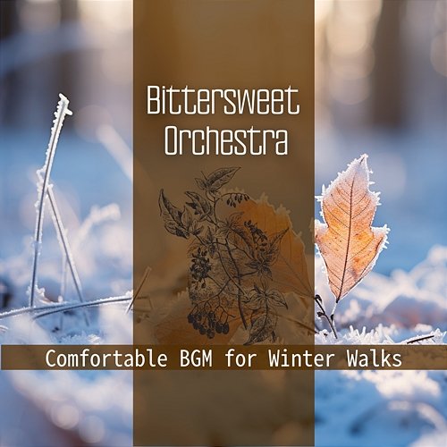 Comfortable Bgm for Winter Walks Bittersweet Orchestra