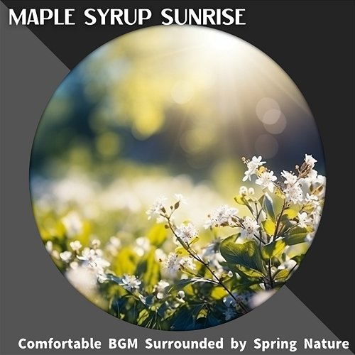 Comfortable Bgm Surrounded by Spring Nature Maple Syrup Sunrise