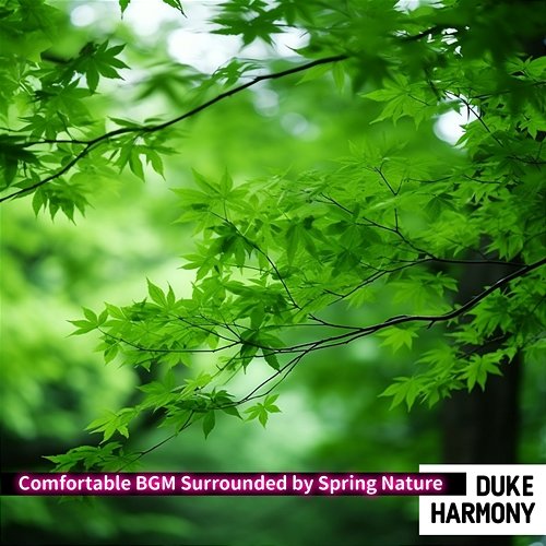 Comfortable Bgm Surrounded by Spring Nature Duke Harmony