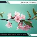 Comfortable Bossa with the Breath of Spring Rainbow Journey