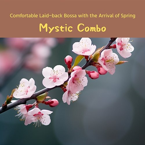 Comfortable Laid-back Bossa with the Arrival of Spring Mystic Combo