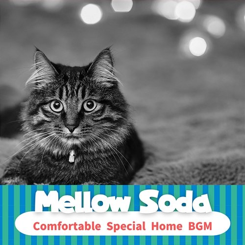 Comfortable Special Home Bgm Mellow Soda