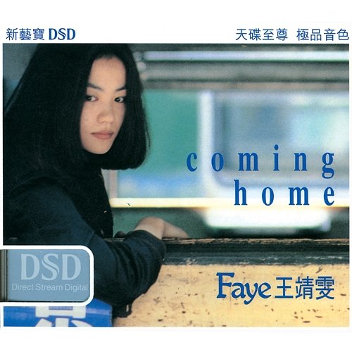 Coming Home Faye Wong