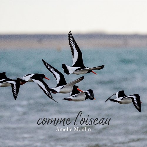 comme l'oiseau Amelie Moulin