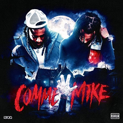 COMME MIKE i300