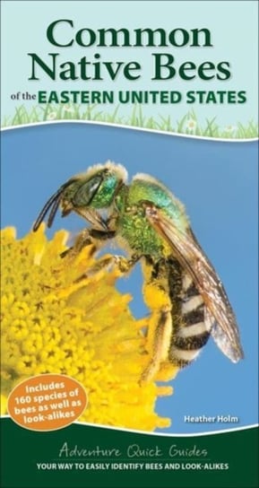 Common Backyard Bees of the Eastern United States: Your Way to Easily Identify Bees and Look-Alikes Heather Holm