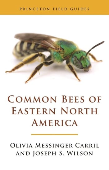 Common Bees of Eastern North America Olivia Messinger Carril, Joseph S. Wilson