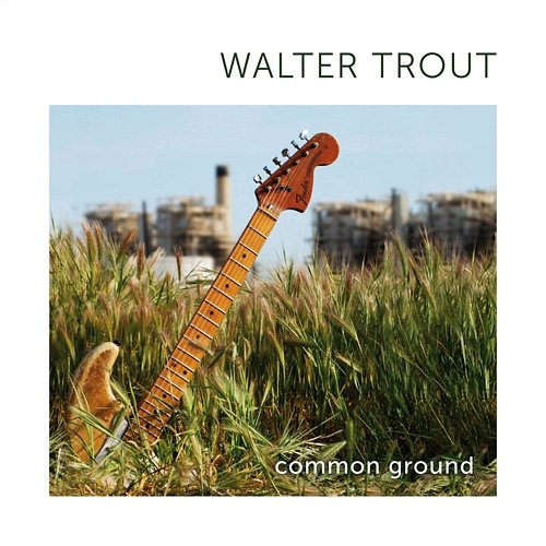 Common Ground Walter Trout